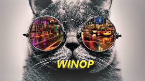 tchat avec WinOp