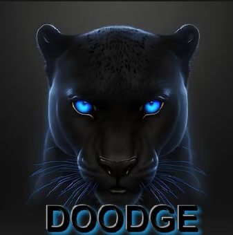 tchat avec Doodge