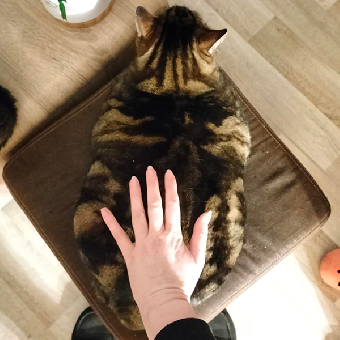 tchat avec pahya