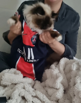 tchat avec Aelia