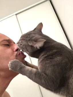 tchat avec MrCrepes