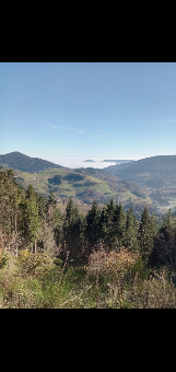 tchat avec Naturelife