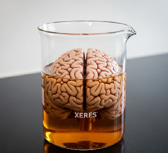 tchat avec Xeres