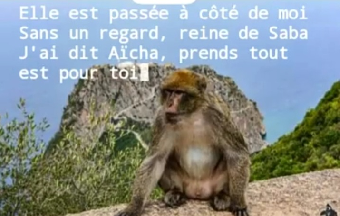 tchat avec Keoma