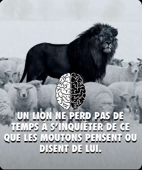 tchat avec ArabianPanther