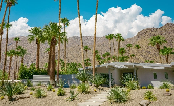 tchat avec Palmsprings