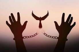 tchat avec libertad