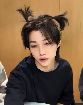 tchat avec Stray_Kids18