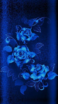 tchat avec theblueflower54