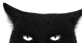 parler en toute simplicité