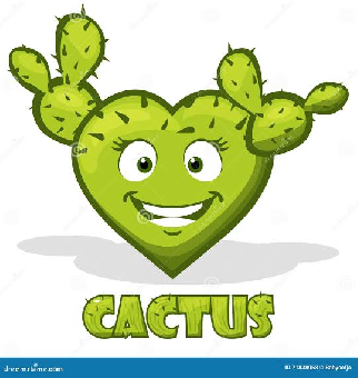 tchat avec Cactus-ette
