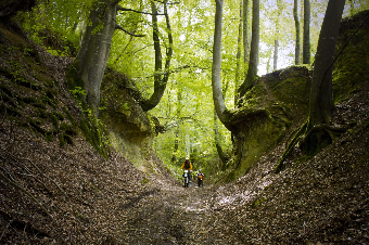 tchat avec AlexMotoHJ
