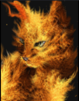 tchat avec zoanthropie