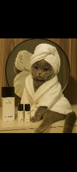 tchat avec CoeurNomade