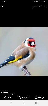 tchat avec Mourad1983