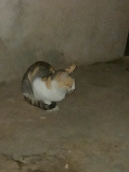 tchat avec au_bureau