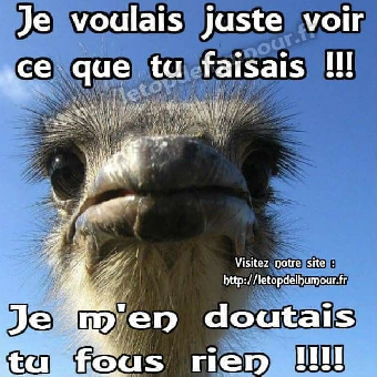 tchat avec cleary-50