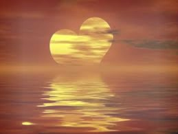 tchat avec Cactus-ette