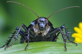 parler en toute simplicité