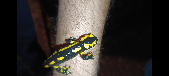 tchat avec EspritdeVelour