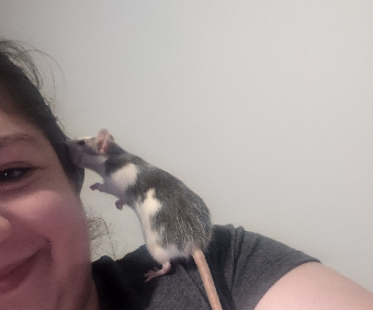 parler en toute simplicité