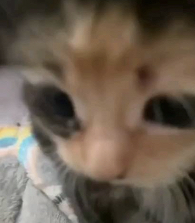 parler en toute simplicité