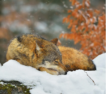 parler en toute simplicité
