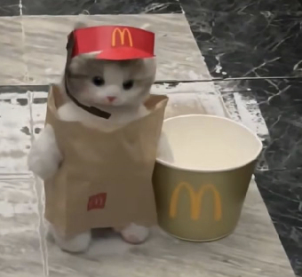 discuter gratuitement