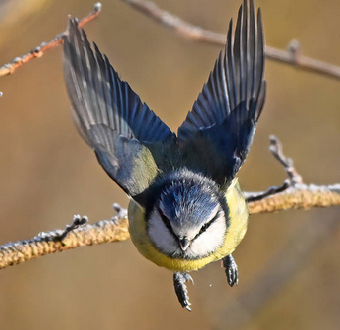 tchat avec andtheskyisgrey