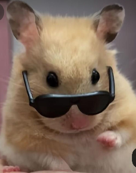 tchat avec Intelligente