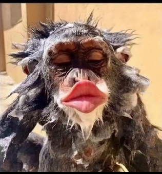 tchat avec Chutpasdepvmerci