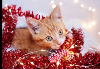 parler en toute simplicité