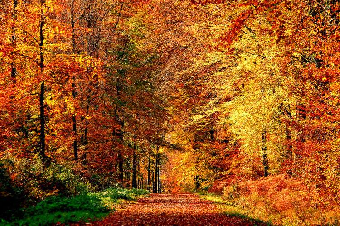 parler en toute simplicité