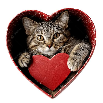 tchat avec Cactus-ette