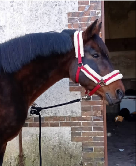 tchat avec Famasss213