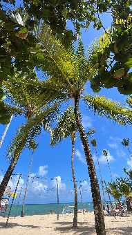 parler en toute simplicité