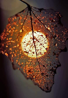 parler en toute simplicité