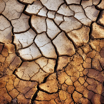 tchat avec Betacotta