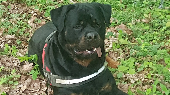 parler en toute simplicité