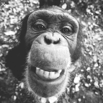 parler en toute simplicité