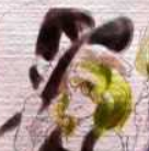 parler en toute simplicité