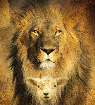 tchat avec Ali-48-69