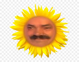 tchat avec Goodman29800