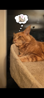 parler en toute simplicité