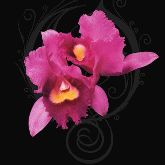 parler en toute simplicité