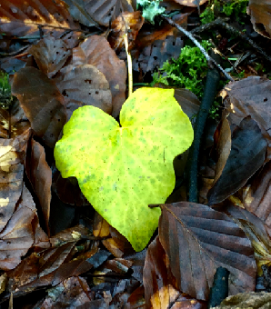 parler en toute simplicité