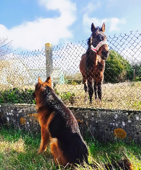 tchat avec Famasss213