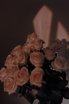 tchat avec _foodigirl