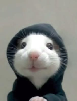 parler en toute simplicité