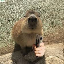 parler en toute simplicité